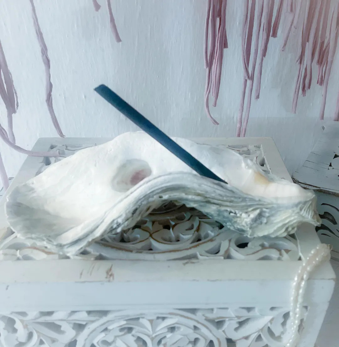 Oyster Shell Incense Holder: Natural Beach Find - Etsy UK | Etsy (US)