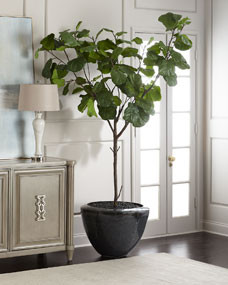 Garden Fiddle Leaf Fig Tree | Horchow
