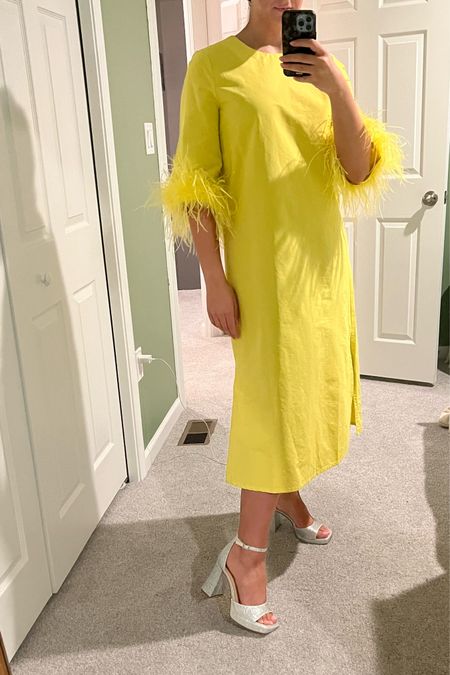 I got this fun feather detailed dress for an upcoming work event. I’d definitely size up! This is a M. I also got these fun shoes that are surprisingly comfortable .

#LTKfindsunder100 #LTKshoecrush #LTKwedding