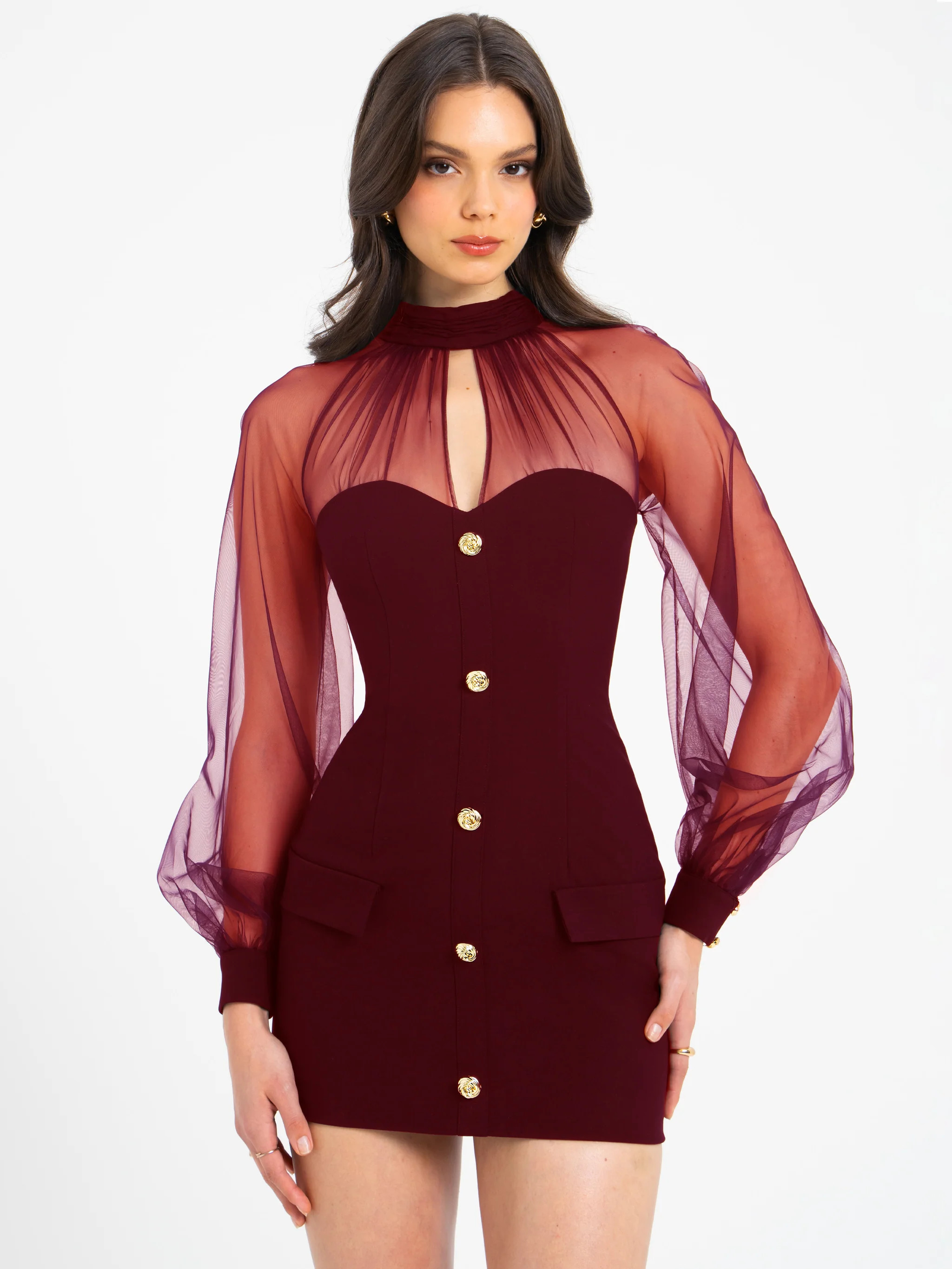 Tabitha Burgundy Mesh Lantern Sleeve Mini Dress | Miss Circle