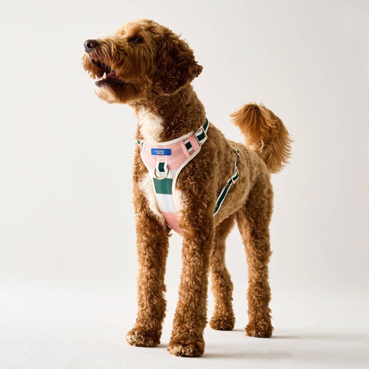 Hooray House Performance Mesh Dog Harness - Pink S | Target