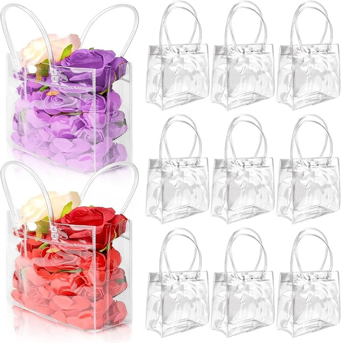 BadenBach 24 PCS Mini Clear Gift Bags with Handle,5.9" x 6.3" x 2.8",Small Transparent Plastic Gi... | Amazon (US)