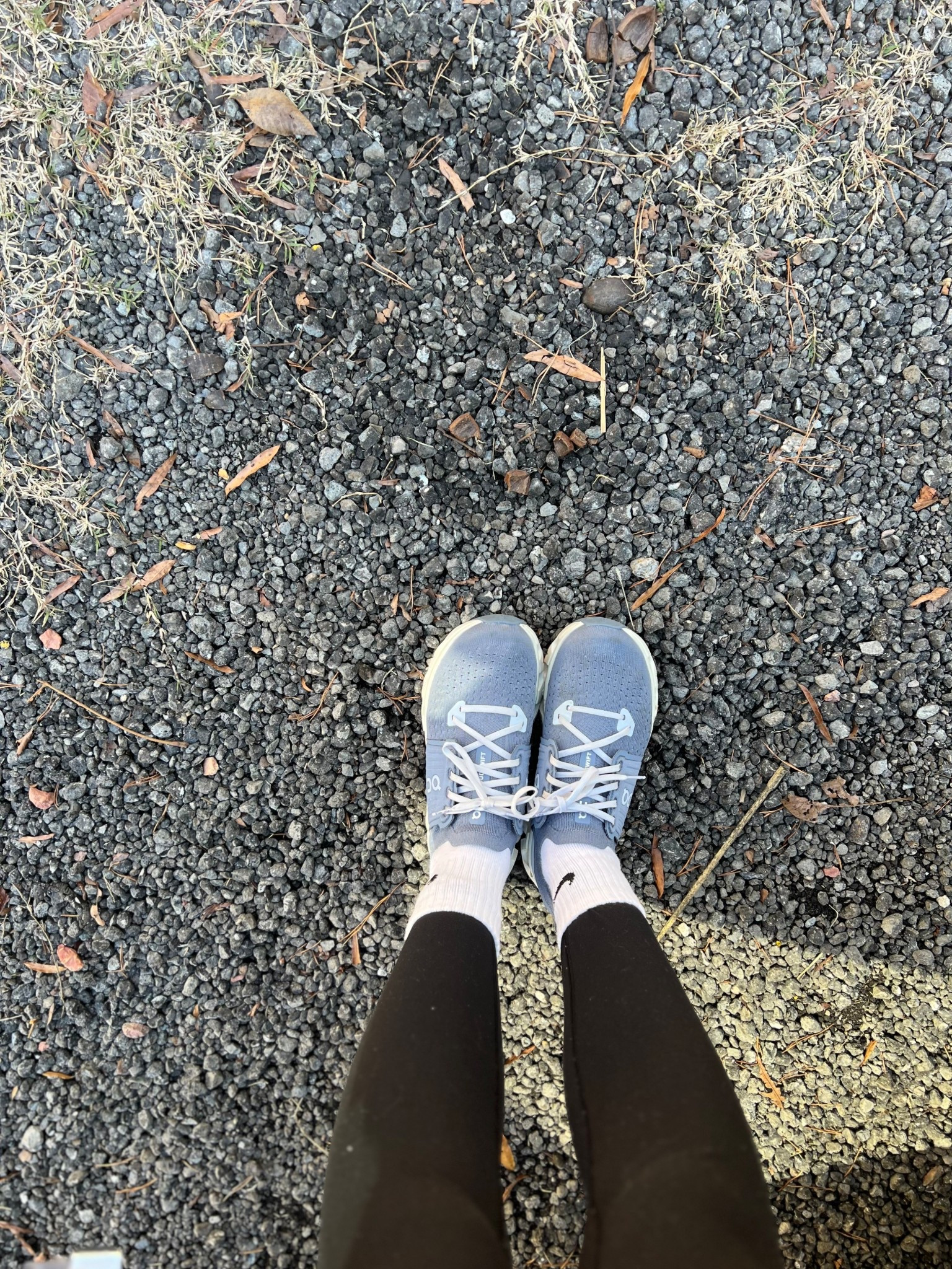 my favorite tennis shoes for walking and working in! 

#LTKfitnessgoals