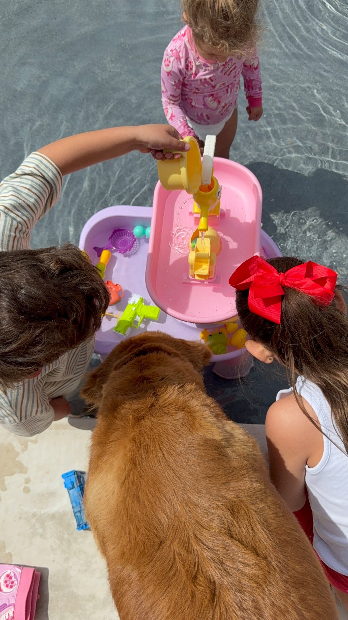 Ordered this water table for the shallow part of the pool & it’s a huge hit✨from Amazon 

Dressupbuttercup.com #dressupbuttercup #dederaad


#LTKSwim #LTKSeasonal #LTKKids