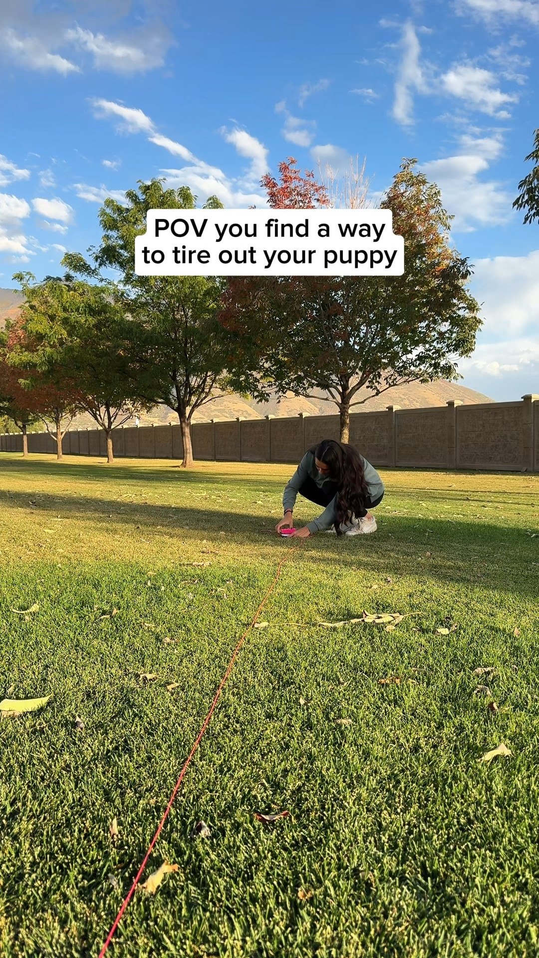 Obsessed with our SwiftPaws chase kit!!💗