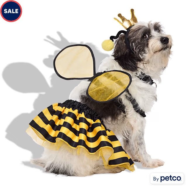 Bootique Queen Bee 3-Piece Pet Halloween Costume, Medium | Petco