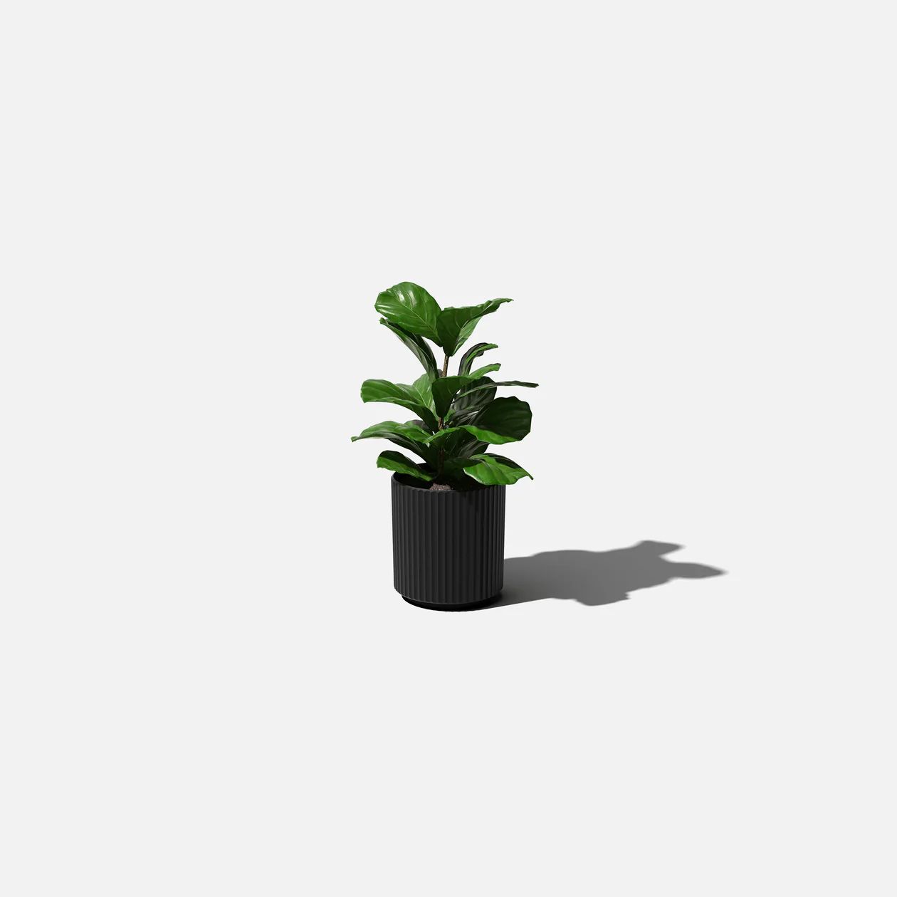 demi planter | Veradek