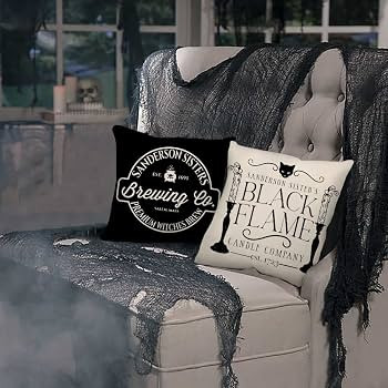 Halloween Decor Pillow Covers 20x20 Set of 4 Halloween Decorations Hocus Pocus Farmhouse Saying B... | Amazon (US)