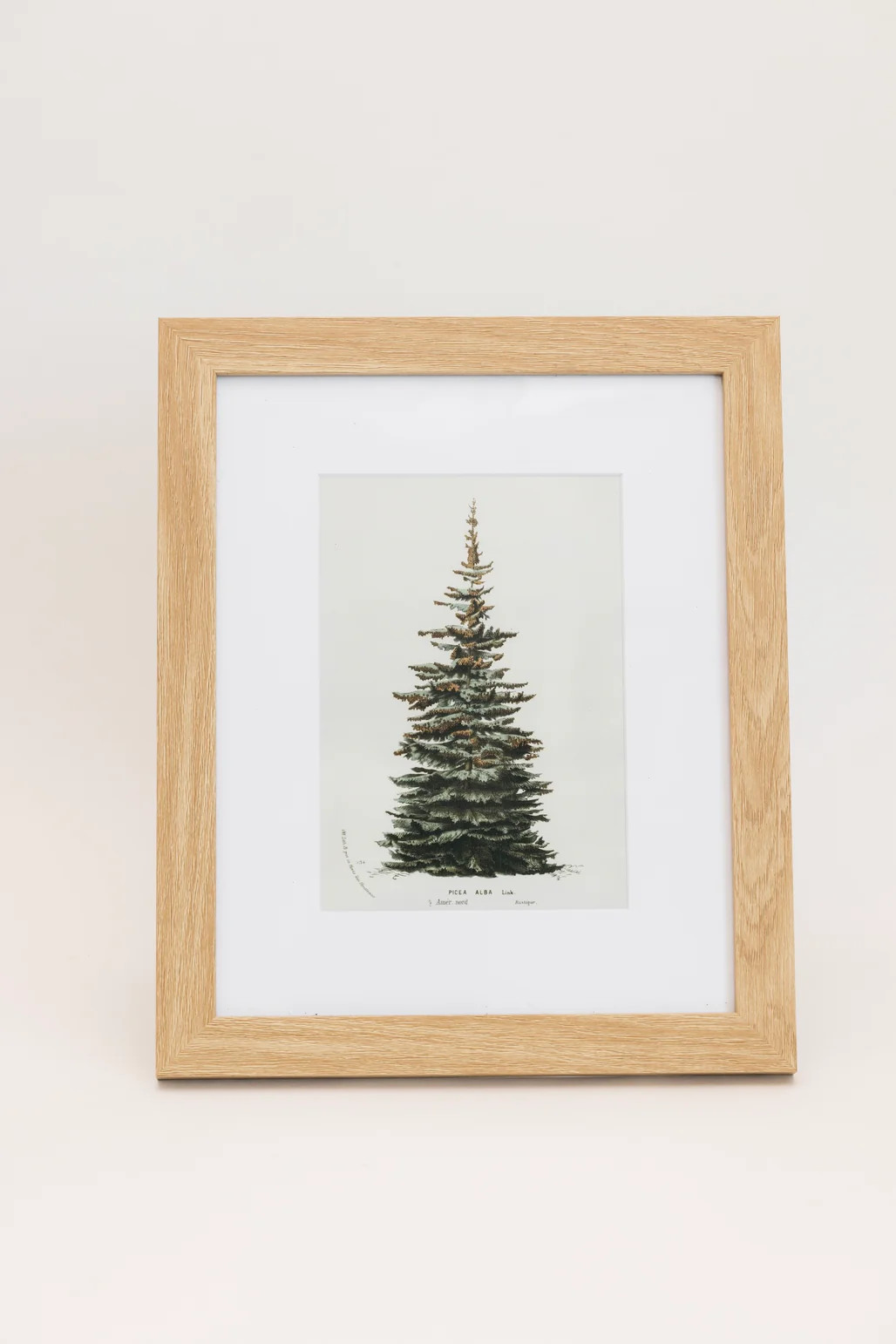 Spruce Wall Art | THELIFESTYLEDCO
