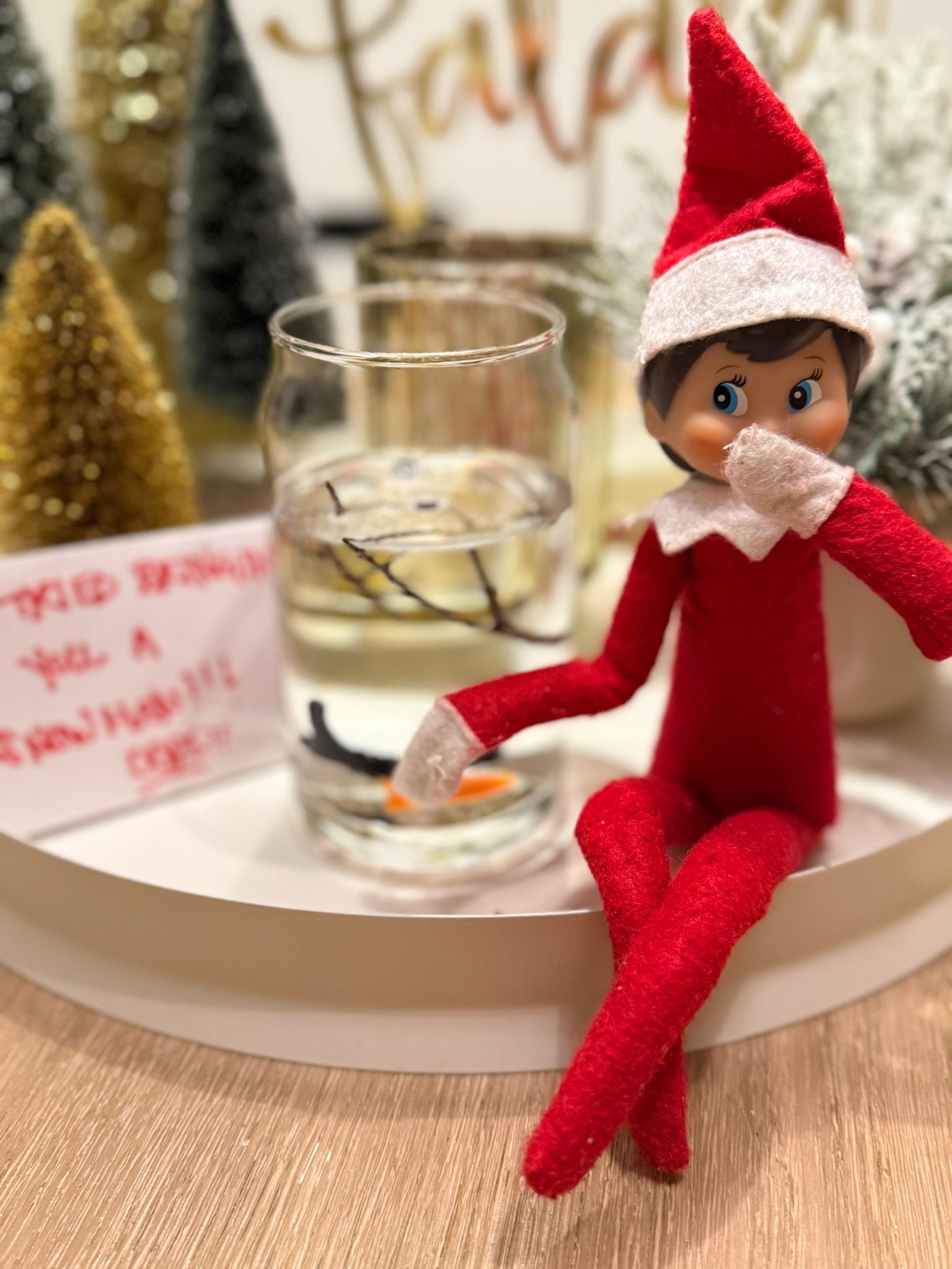 bendy elf kit!

#LTKKids #LTKSeasonal #LTKHoliday