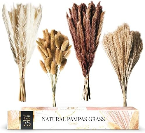 Amazon.com: Blooming Fields Dried Pampas Grass Decor - 75-Pack Natural Pompous Grass 17" Tall Sma... | Amazon (US)
