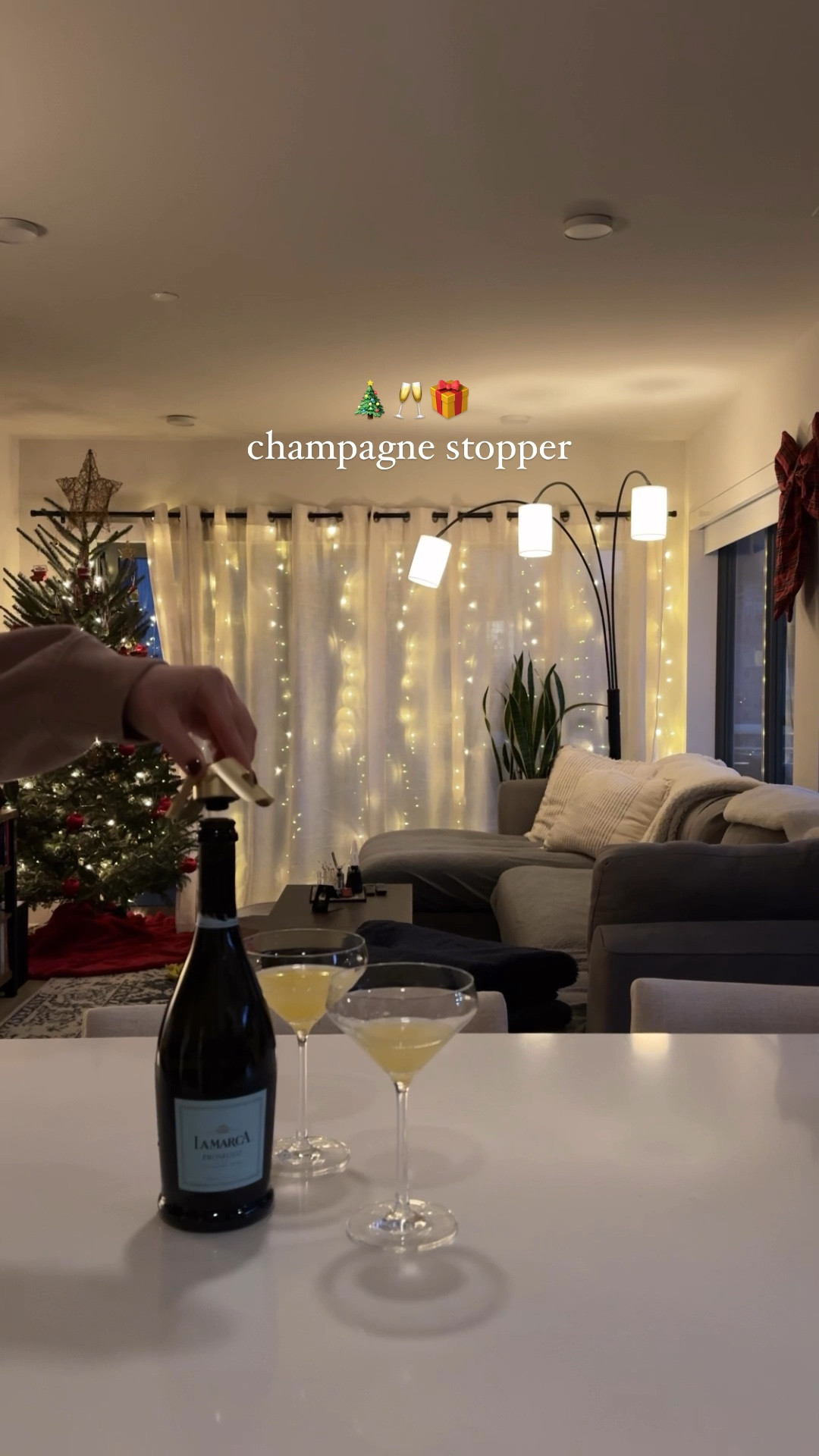 A holiday essential! This champagne stopper is such a cute gift idea! I’m getting one for myself too lol   

#LTKParties #LTKGiftGuide #LTKHome