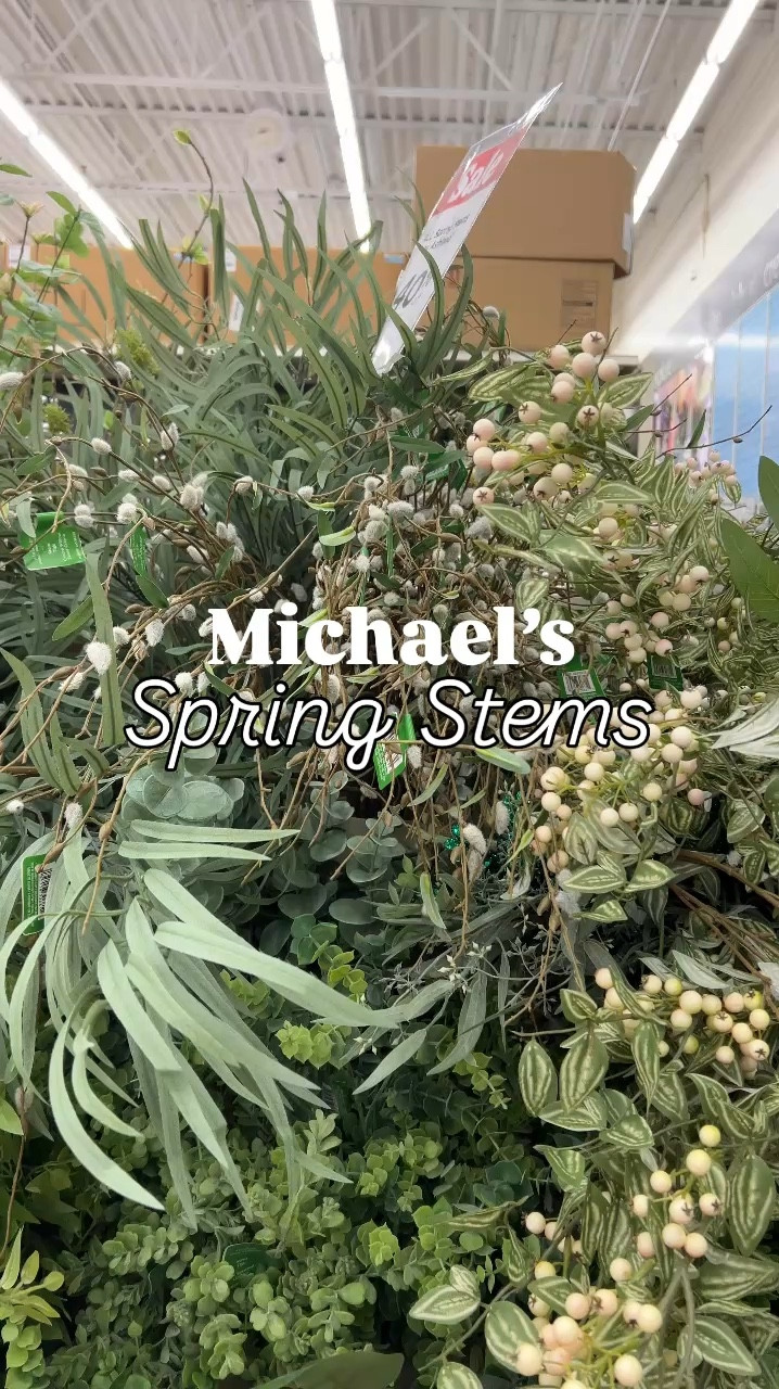 Michaels | spring stems | home decor | shelf styling | affordable home decor | budget friendly | dresser | Wayfair | Target | Amazon | Walmart | vase | gallery frames | spring art #LTKMostLoved

#LTKFindsUnder50 #LTKHome