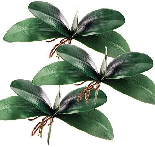 Miracliy Phalaenopsis Orchid Leaves Real Latex Touch Plants Arrangement, 3 Pieces | Amazon (US)