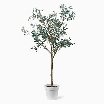 Faux Potted Olive Tree | West Elm | West Elm (US)