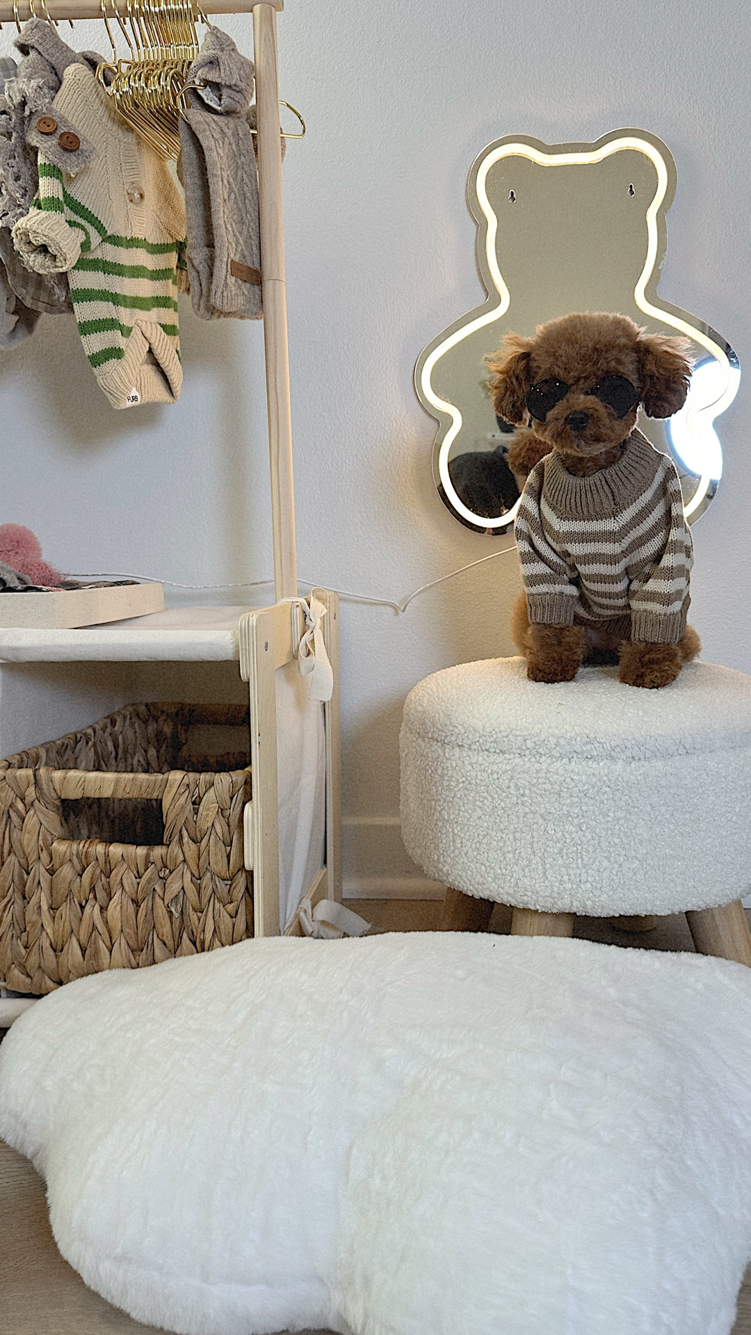 DIY Dog Closet 🐻🧦🤍🧣

#LTKHome #LTKootd #LTKdayinmylife