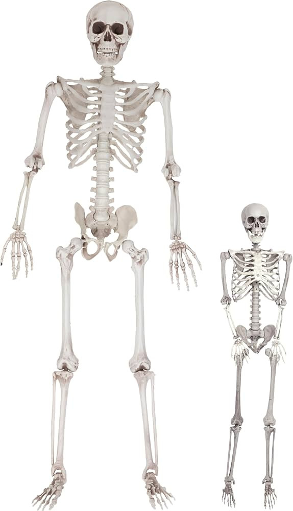 Life Size Skeleton Halloween Decoration Value 2 Pack -Adult (5' 4") & Child (2') Weather Resistan... | Amazon (US)