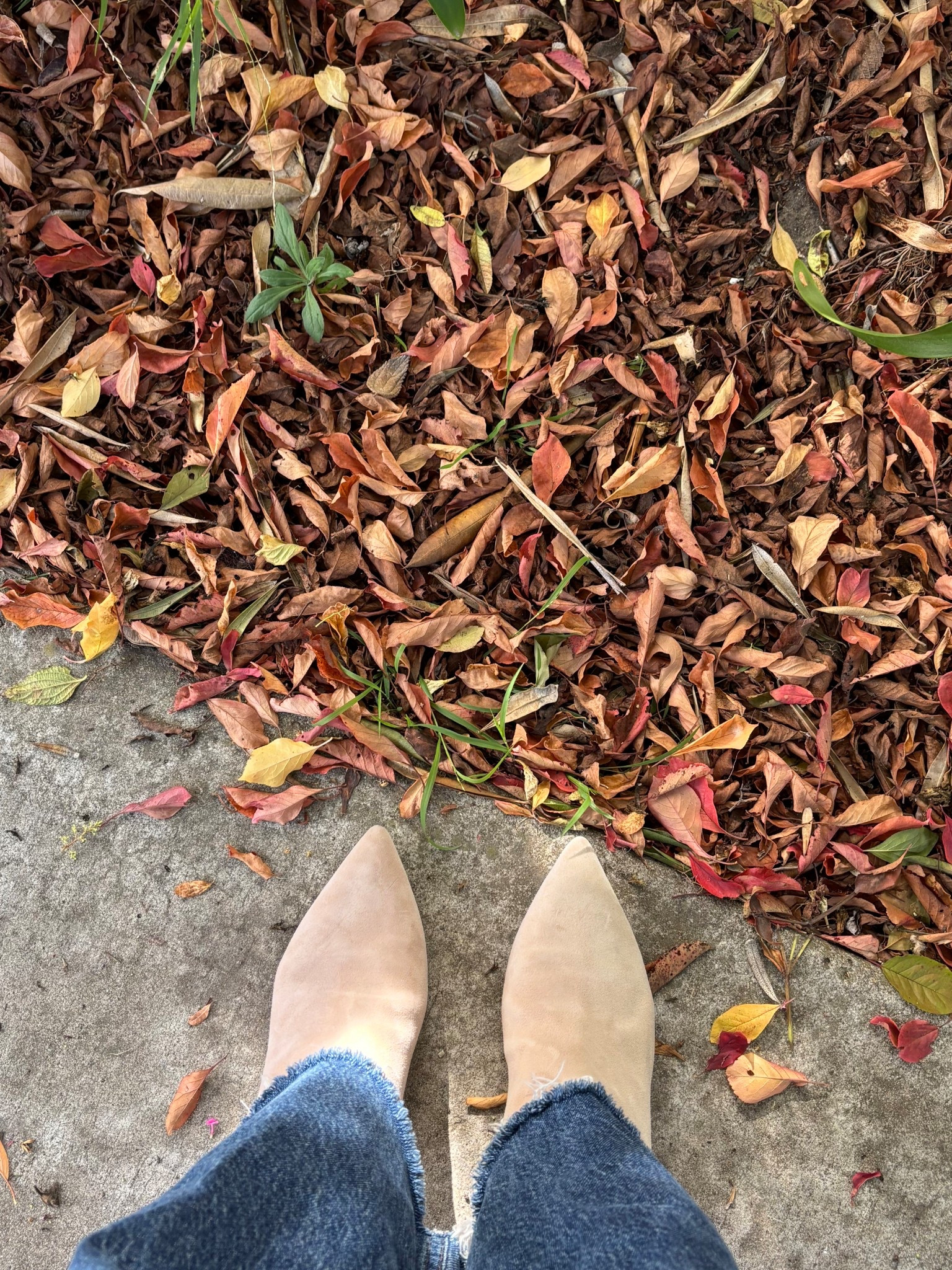 fall boots 

#LTKShoeCrush #LTKOver40 #LTKStyleTip