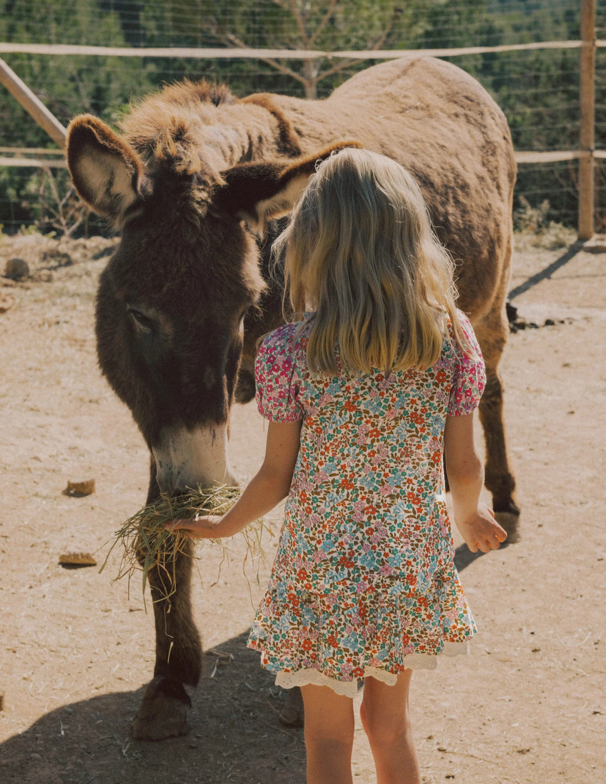Smocked Frill Neck Blouse-Hotchpotch Floral | Boden (US)