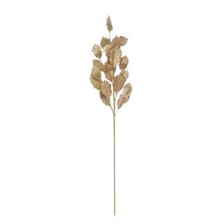 Champagne Eucalyptus Stem by Ashland® | Michaels Stores