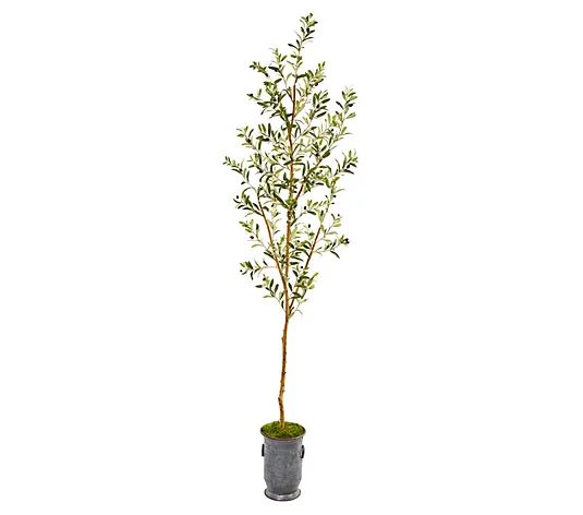 Nearly Natural 7.5' Olive Tree in Decorative Planter | QVC