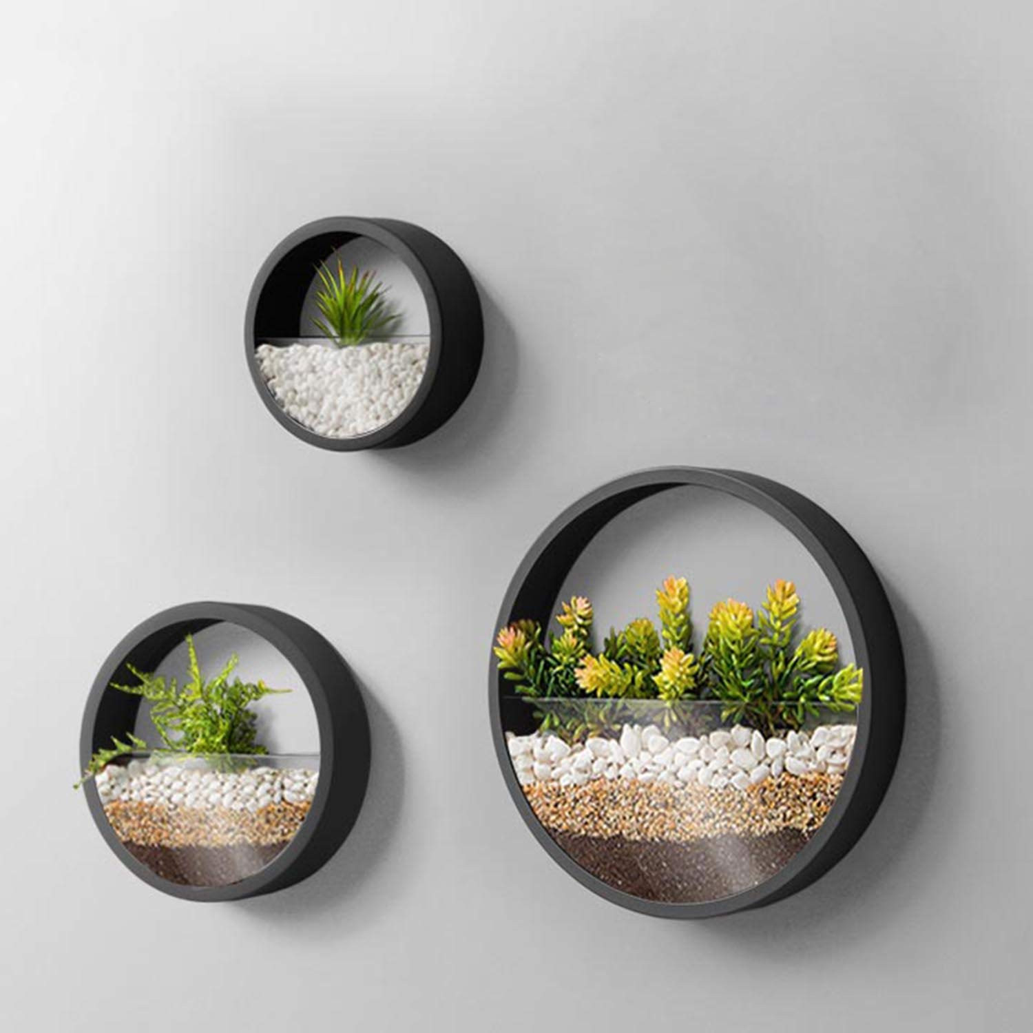 3 Pack Set Wall Planters,Modern Round Glass Wall Planter Succulent Planter Circle Iron Hanging Planter Vase for Herb,Small Cactus Perfect for Balcony, Room and Patio Decor (Black) | Amazon (US)