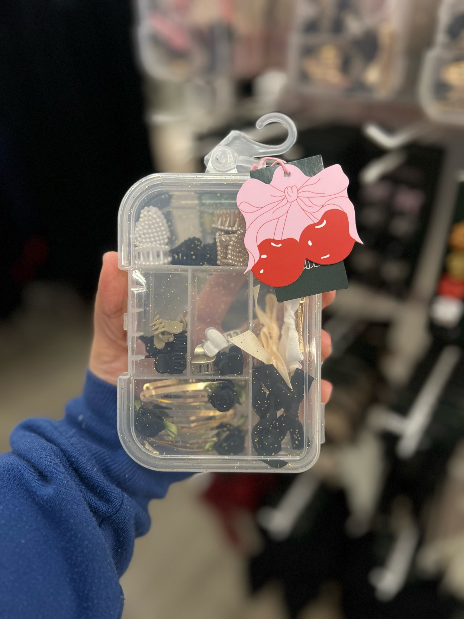 Hair Clip Accessory Box Set - Wild Fable™

#LTKGiftGuide #LTKHoliday #LTKBeauty