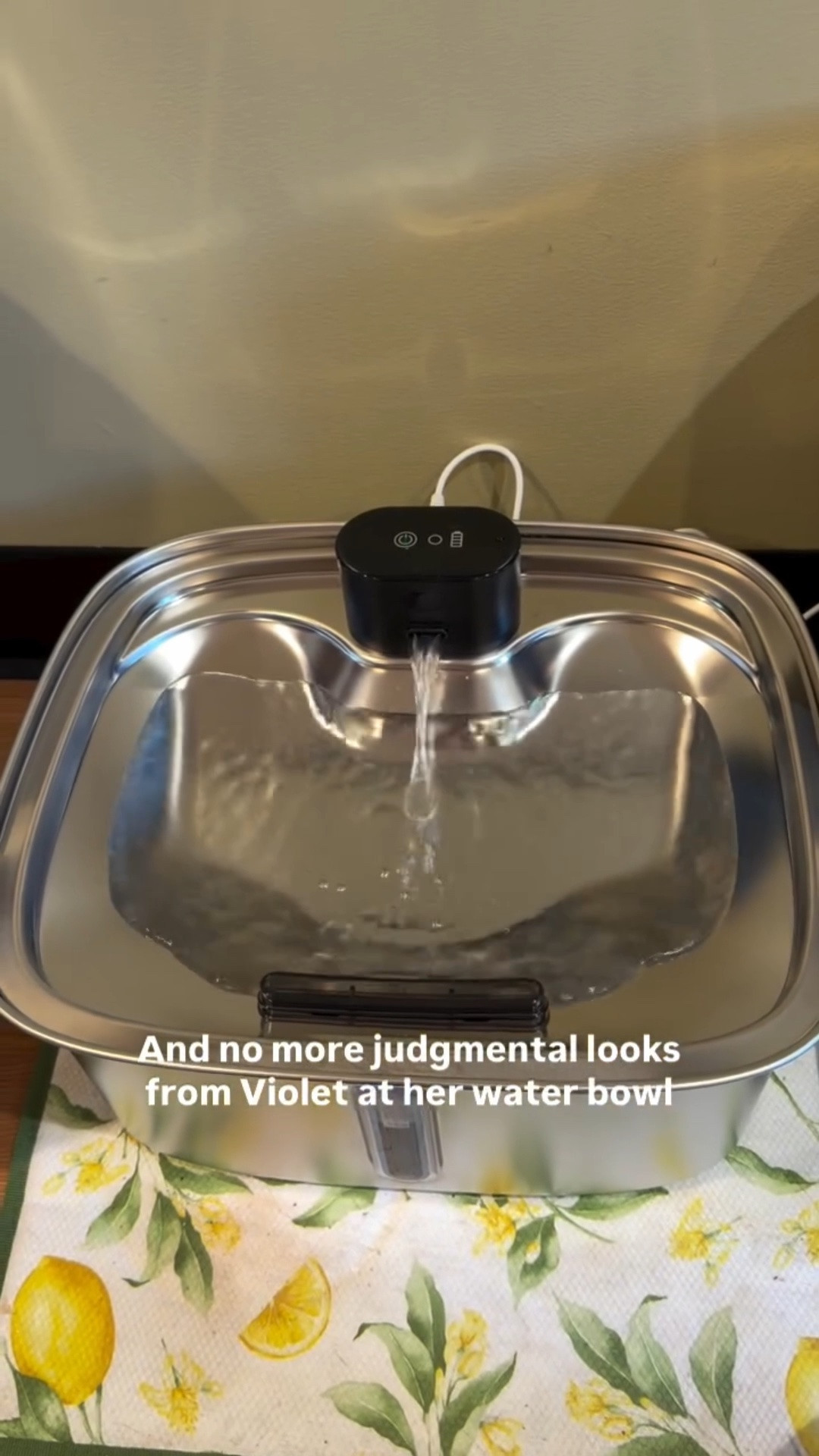 POV: your dog suddenly becomes a water snob… and you’re not even mad about it 💧🐾

The Vacqueen Smart Pet Water Fountain has been a total game changer for Violet—she’s drinking more, the water stays cleaner, and I’m not constantly refilling a dusty bowl.
Honestly one of those small upgrades that just makes sense. Link in bio!
#vacqueen #dogmomlife #petgadgets #goldendoodle #petmusthaves
