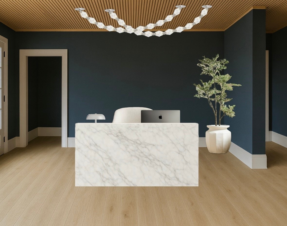 Reception Office Space Design 