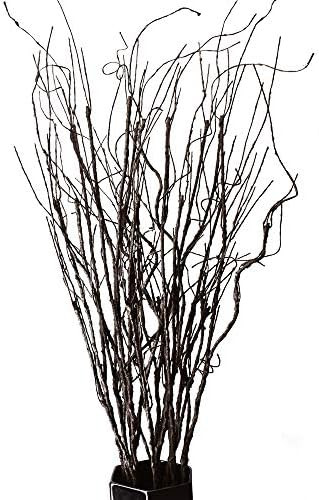 FeiLix 10PCS Lifelike Curly Willow Branches Decorative Dried Artificial Twigs, 30.7 Inches Fake B... | Amazon (US)