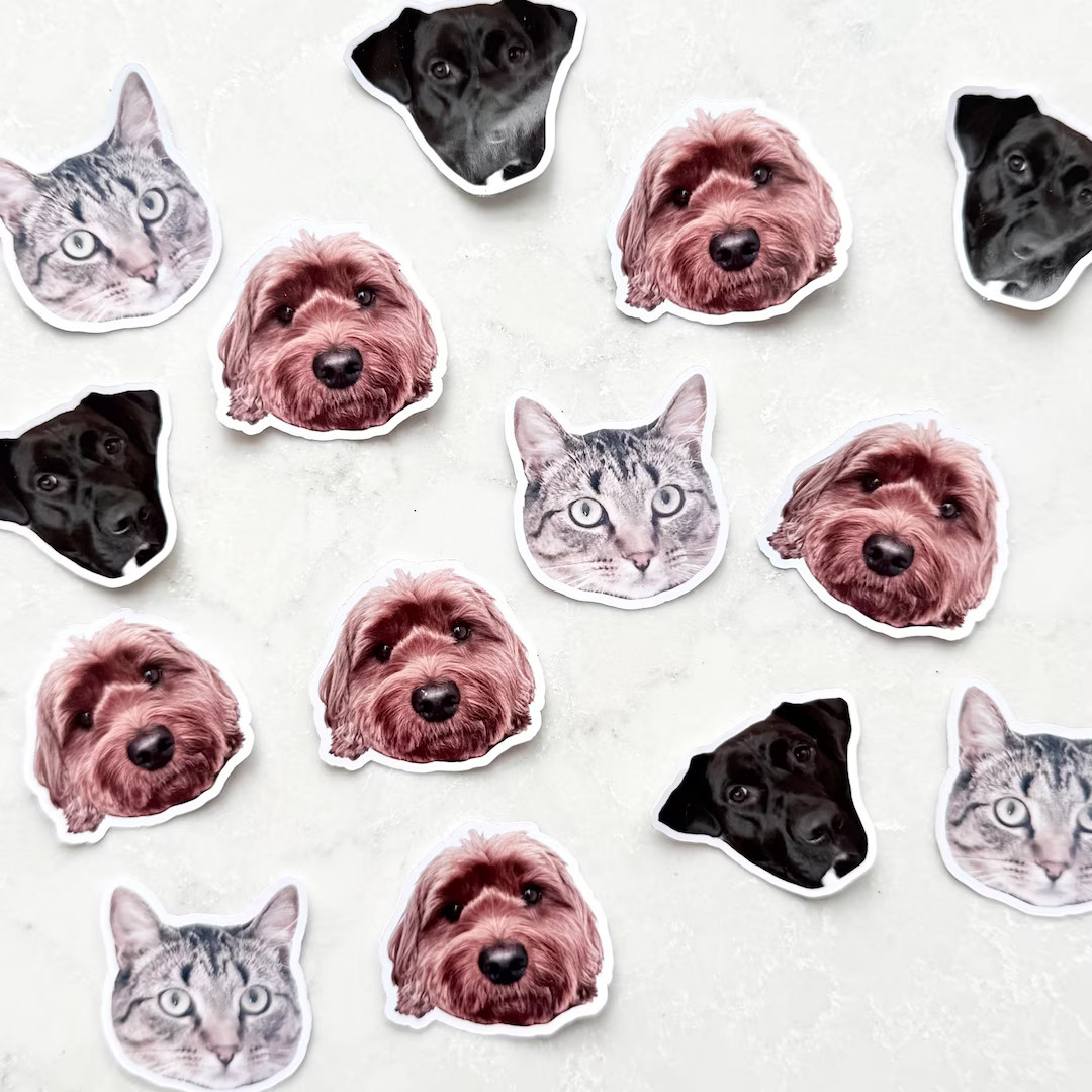 Custom Dog Cat Face Sticker or Confetti, Personalized Pet Portrait | Etsy (US)