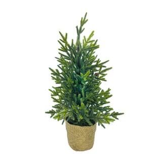 18" Green Mini Tabletop Pine Tree in Basket by Ashland® | Michaels | Michaels Stores