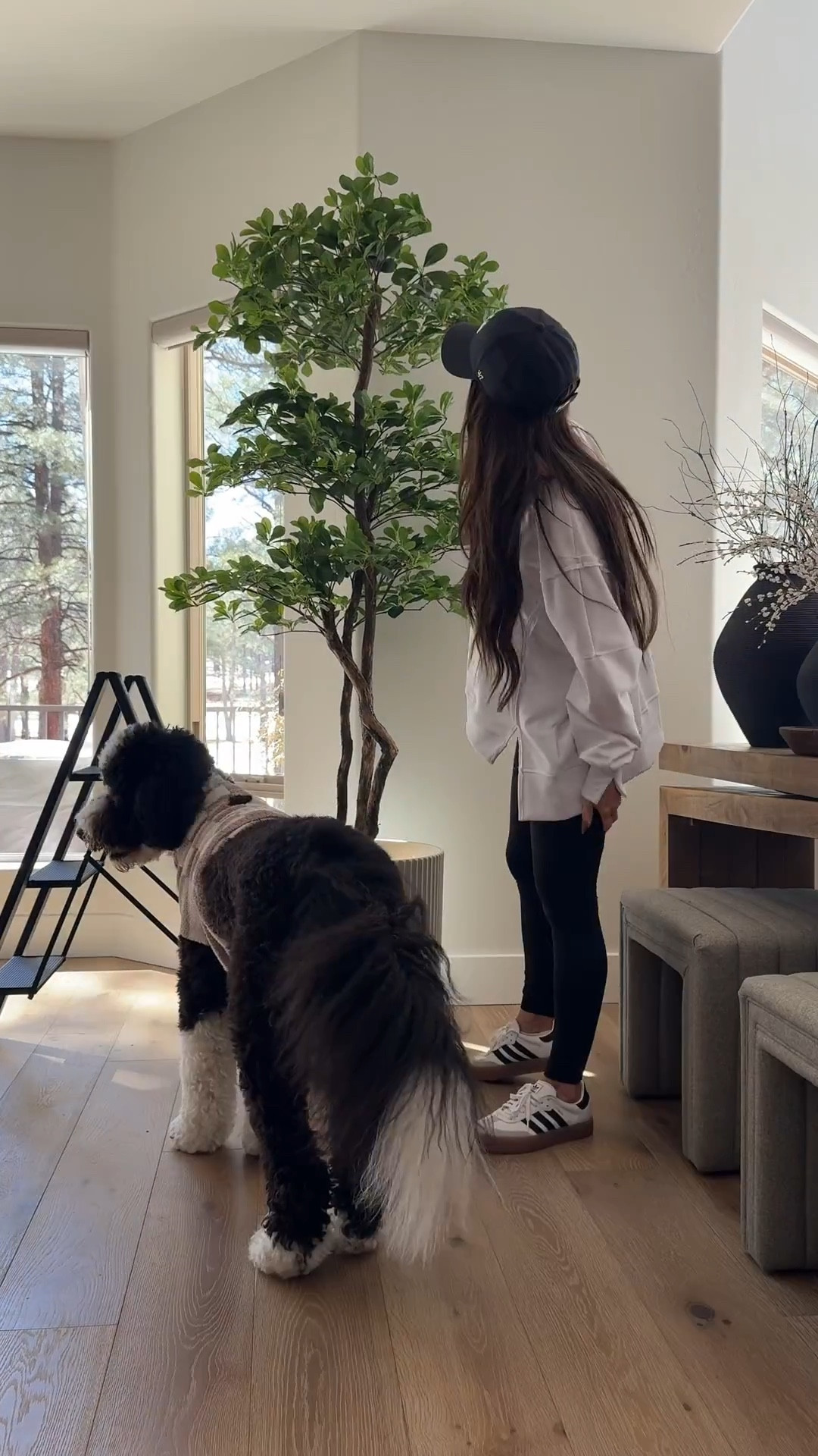 I love how unique this faux tree is instantly elevates any space in your home
Fluted planter, remote control tree light, I used risers to protect my wood floor
Amazon home, interior decoration ideas, modern organic home 


#LTKSeasonal #LTKmomlife #LTKHome