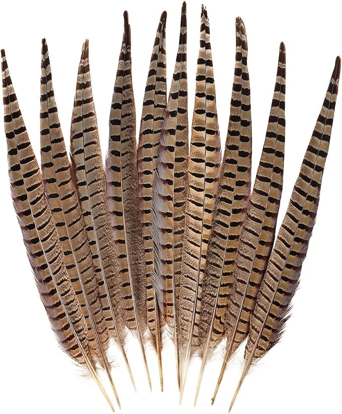 FeelfunFeather 5pcs Pheasant Feather 16-18inch 40-45cm Natural Male Ringneck Tails Feathers for D... | Amazon (US)