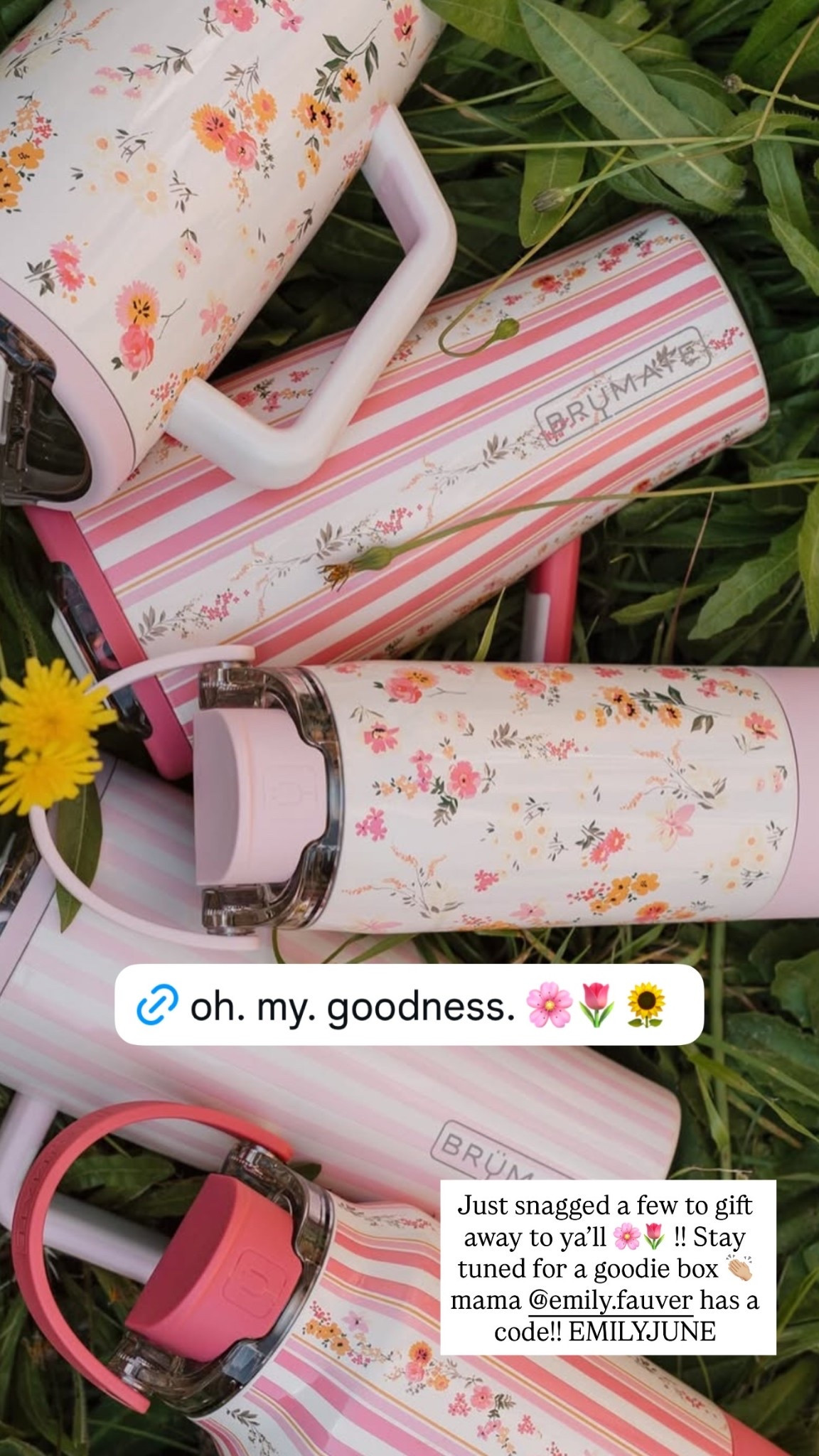 Not saying a new cup will fix your life... but...look at how cute the new Brumate collection is 🌼🌸🪻

#LTKSeasonal #LTKHome