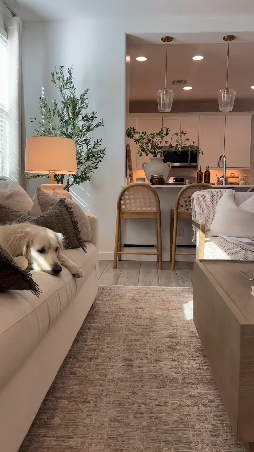 Love the coziness nighttime brings to the living room🌙🫶🏼

#LTKHome #LTKStyleTip