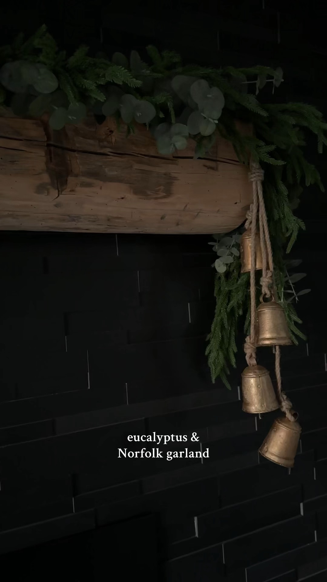Living for the Norfolk and eucalyptus garland trend this holiday season! I don’t remember where mine is from (it’s so old!) but I linked some well priced ones here! 

#LTKVideo #LTKHoliday #LTKSeasonal