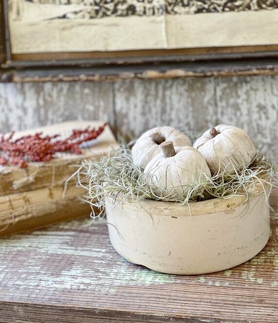 Antique Feeder Crock Salt Glaze Stoneware Jar Bowl Farmhouse | Etsy | Etsy (US)