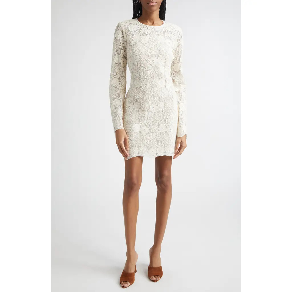 Veronica Beard Teresia Long Sleeve Lace Minidress in Dove at Nordstrom, Size 10 | Nordstrom