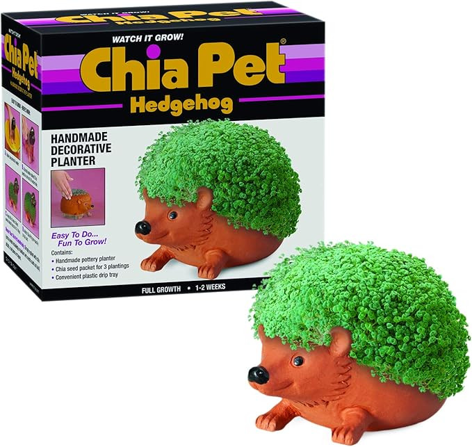 Chia Pet Hedgehog Decorative Pottery Planter with Seed Pack, Decorative Pottery Planter, Easy to ... | Amazon (US)