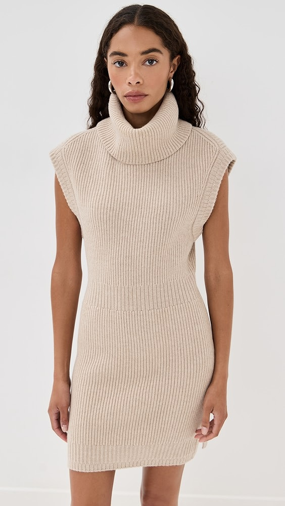 Albanie Mini Dress | Shopbop