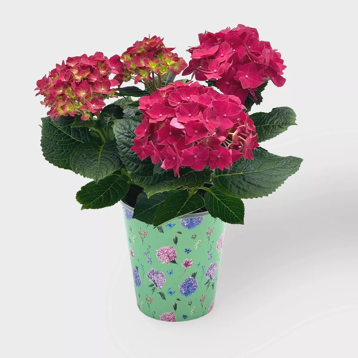 Shop all Good Little Garden | Target