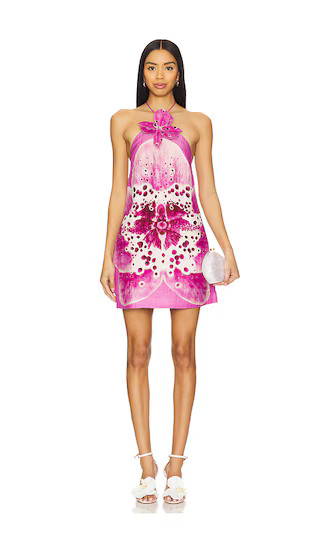 Everlee Orchid Print Mini Dress in Coraline Orchid | Revolve Clothing (Global)