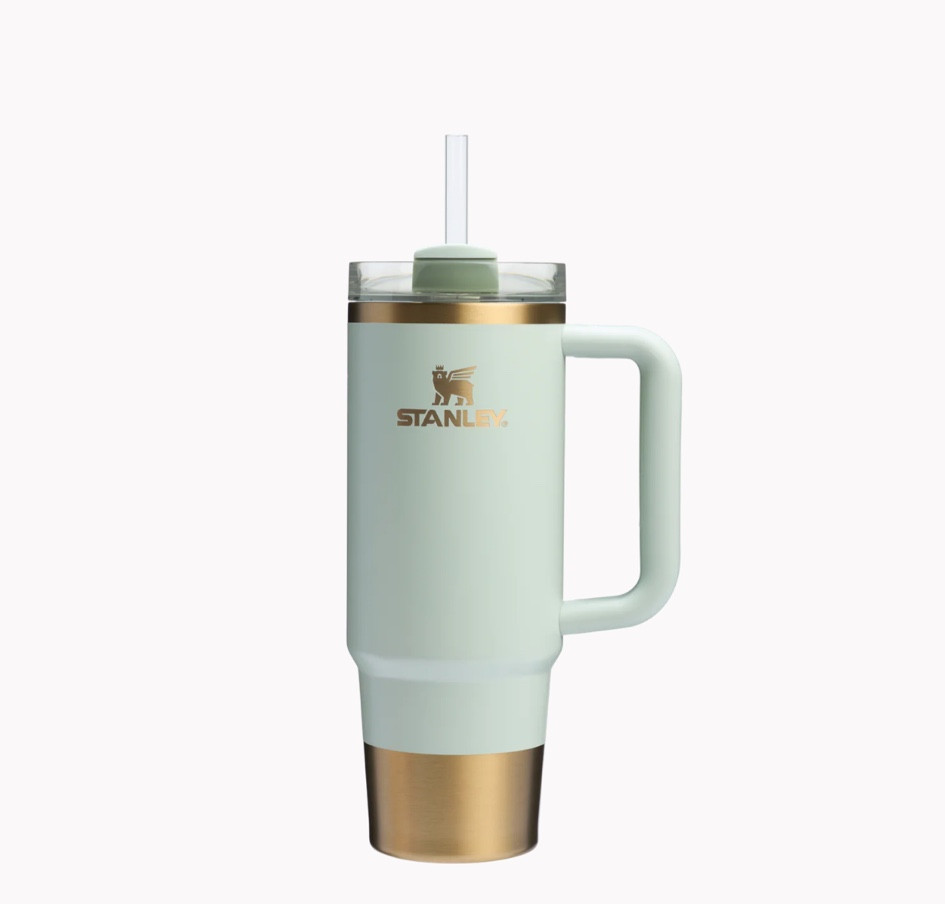 New holiday Stanley 🤩

#LTKFitness #LTKTravel #LTKGiftGuide