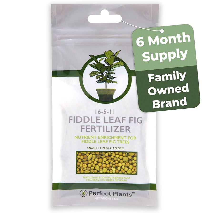 Fiddle Leaf Fig Slow-Release Fertilizer by Perfect Plants - Resealable 5oz. Bag - Consistent Nutr... | Amazon (US)
