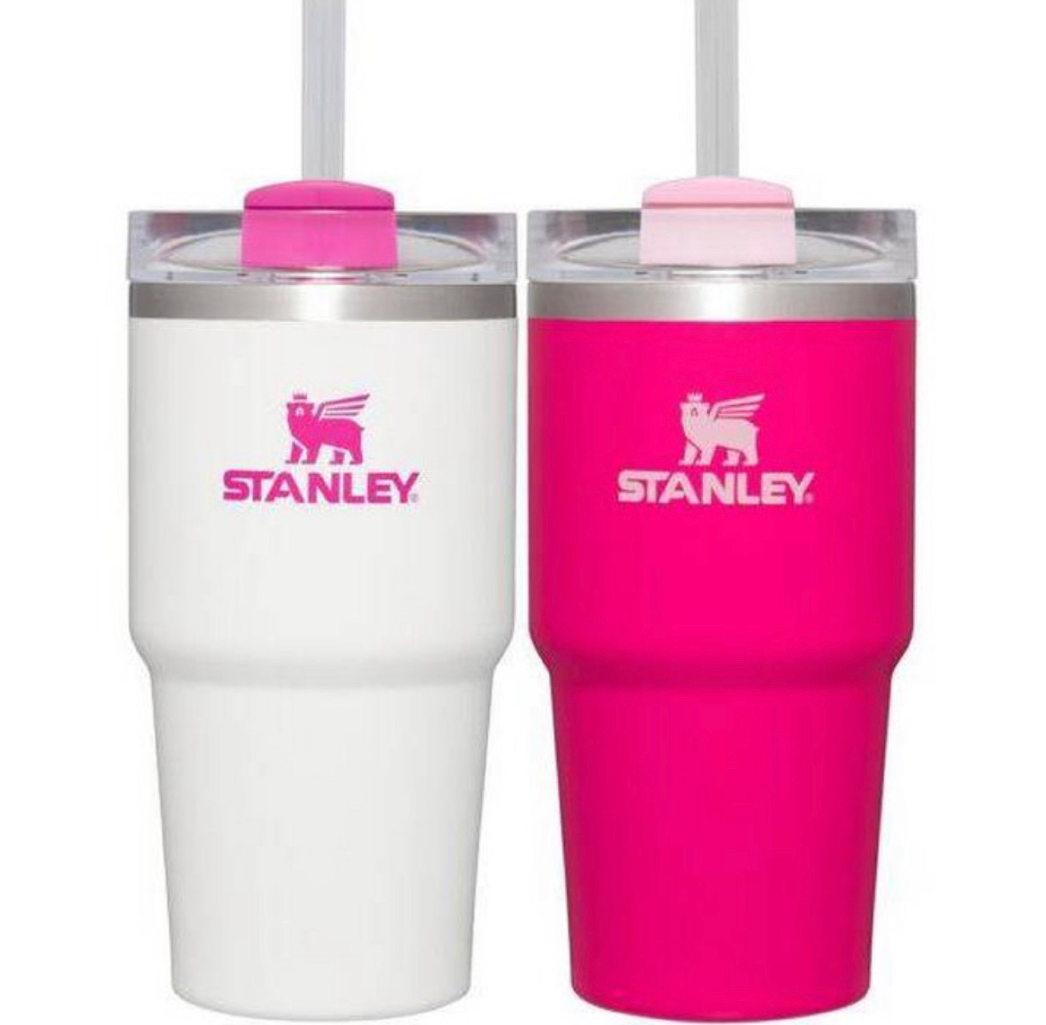 Stanley 20oz Stainless Steel … curated on LTK