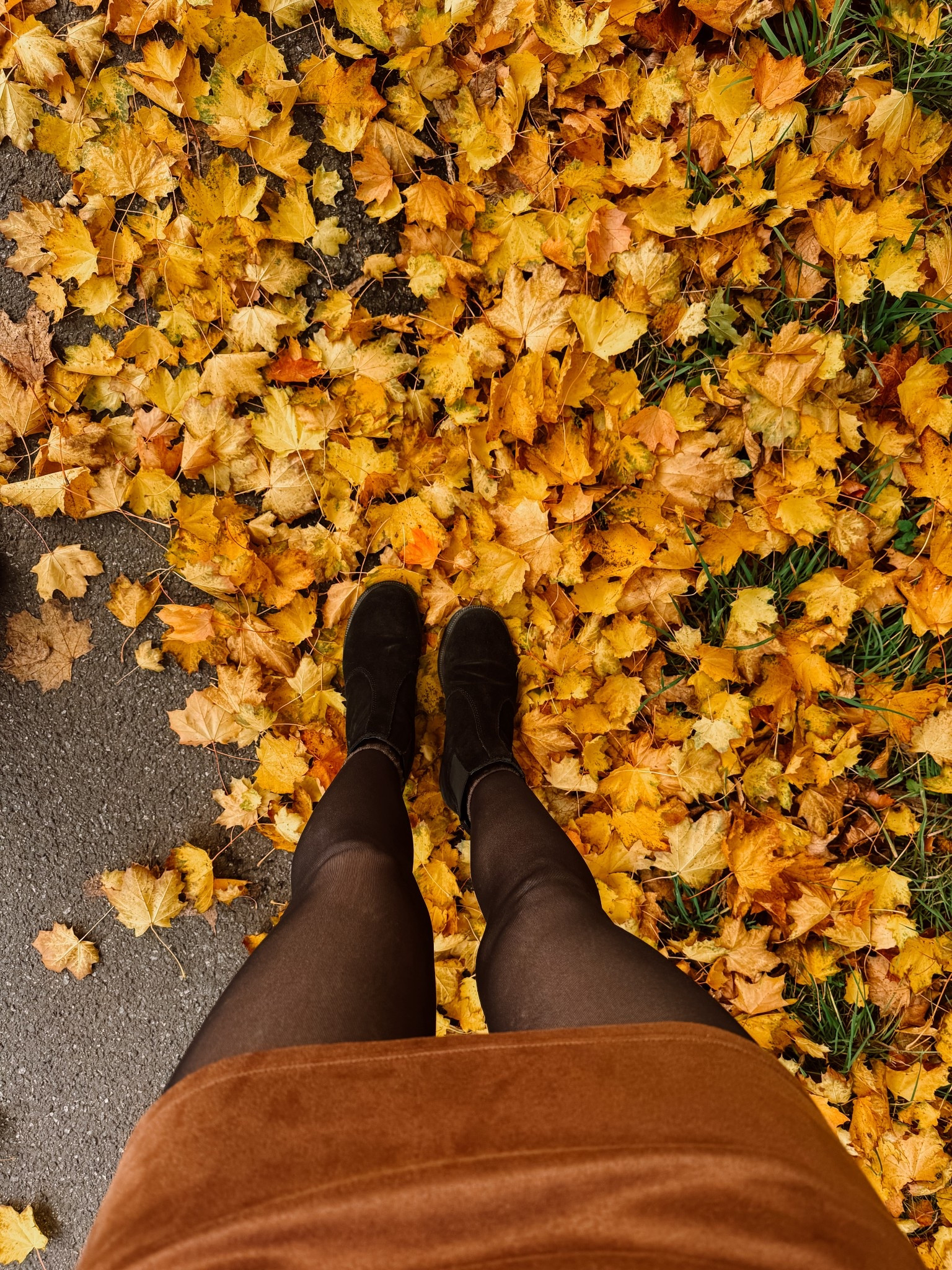 Clinging onto fall 🍁

#LTKSeasonal #LTKootd #LTKStyleTip