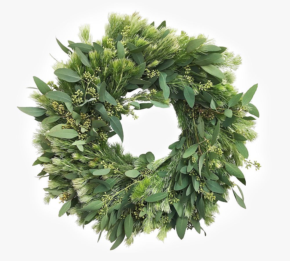 Fresh Wooly Bush and Eucalyptus Wreath | Pottery Barn (US)