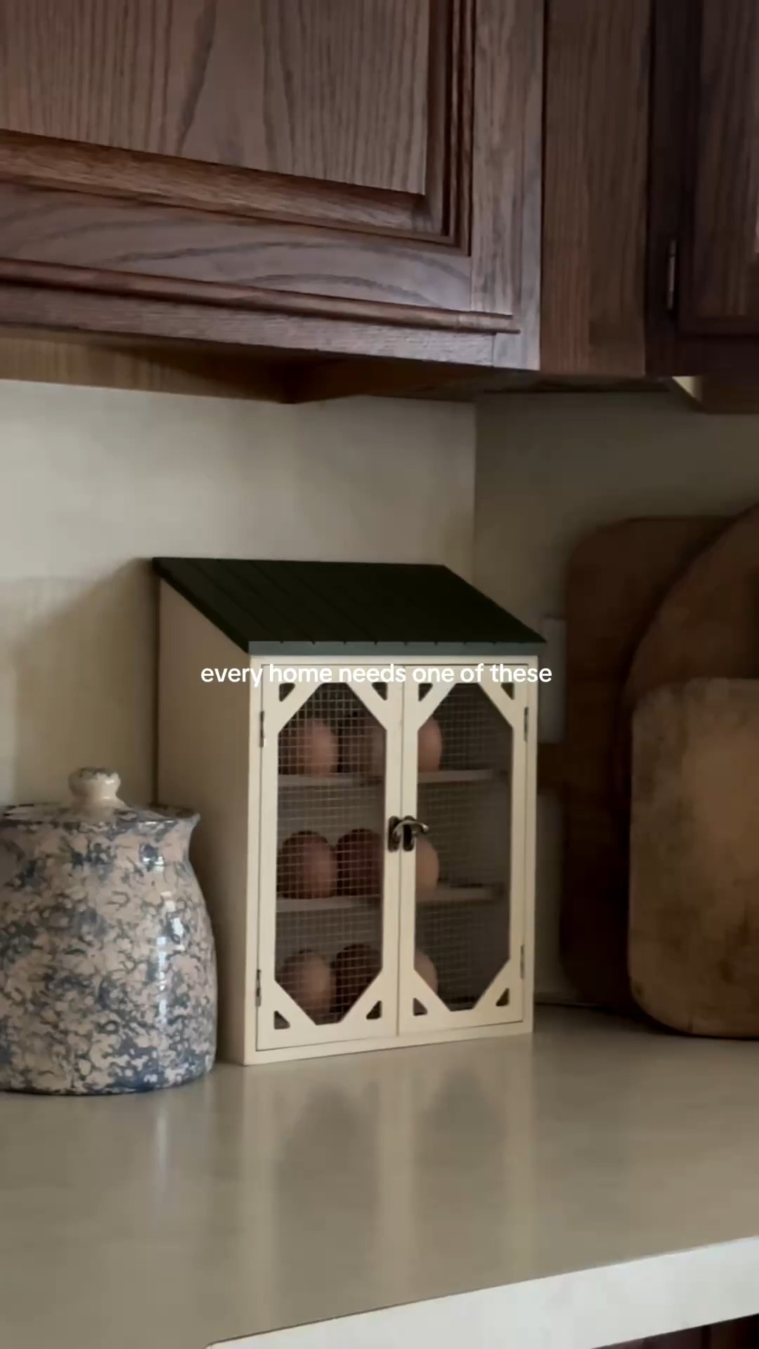 one of my favorite finds 🤎 my dream in life is to have a farm with chickens, goats, pigs, and highland cows & a thriving garden