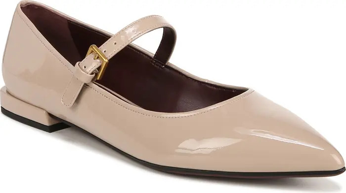 Nalin Pointed Toe Flat (Women) | Nordstrom Rack